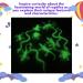 Playlearn Set of 12 Glow In The Dark Toys UV Reptiles- Glow In The Dark Reptiles Toy for Sensory Play Charge in the Light-Plastic Small Realistic Reptiles Figure Glow In Dark Party Supplies - Buy Online on GoSupps.com