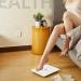 Leaone Bluetooth Body Fat Scale - Smart Digital Bathroom Weight Scale with App, USB Rechargeable, Body Composition Analyzer - White - Buy Online on GoSupps.com