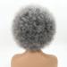 Smoky Gray Short Afro Wig for Black Women - Unisex Large Bouncy Kinky Curly Synthetic Wig - Buy Online on GoSupps.com