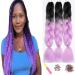 Showjarlly Kanecalon Kunsthaar Hair KanCalon Hair Braids Extension Ombre Jumbo Braid Hair extension 24 " Kanecalon braids Box Hair Kunsthaar Hair For Including Black/Light purple# 61cm-24-inch (3 pack) black/light purple