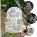 UPKOCH 4 Pcs Fruit Shaping Mold Buddha Shaped Vegetable Shaping Mold Ginseng Shaping Tools Growing Mould Growth Forming 4pcs - Buy Online on GoSupps.com