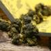 Th naturel Tung-ting Oolong Taiwan Dong Ding Oolong Th 150g - Buy Online on GoSupps.com
