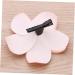 LALAFINA 36 Pieces Hair Barrettes for Women Hawaiian Flower Clips Hawaiian Flower Barrettes Plumeria Hair Clip Foam Hair Clip for Women Hawaiian Decorations Issue Card Travel Flowers - Buy Online on GoSupps.com