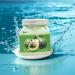 Body Scrub Exfoliator Set - Deep Cleansing Coconut & Avocado Scrub for Oily Skin | Exfoliate Face Hands Feet | Self Skin Care Essentials - Buy Online on GoSupps.com