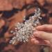 Silver Crystal Bridal Hair Comb - Rhinestone Wedding Headpiece for Women - Buy Online on GoSupps.com