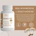Organic L-Ergothioneine Plus Mushroom Blend Supplement - Longevity & Immune Support - 60 Veggie Caps - Buy Online on GoSupps.com