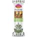 Pistachio Nut Bar Vegan 40g (Pack of 20) Vegan Sweets Gluten Free Snacks Low Salt - Dairy Free - No Additives - Protein - High Fibre - Buy Online on GoSupps.com