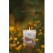 Organic & Vegan Luxury Scented Candles Hand Poured in Loch Lomond Scotland - Island Living (+7 Scents) - Buy Online on GoSupps.com