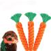 HESUILONG Carrot Dog Toys Puppy Teething Toys Dog Rope Toys Teething Toys for Puppies Cat Chew Toys Safe Braided Rabbit Toys Healthy Gift 3 PCS Sturdy - Buy Online on GoSupps.com
