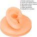 Realistic Silicone Fake Ear Model for Classroom & Lab Teaching - Flesh-Colored Right Ear (International Shipping Available - Buy Online on GoSupps.com