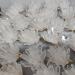 1PCS Natural Stones Hedgehog Crystal Quartz White Quartz Geode Cluster Raw Home Decor - Buy Online on GoSupps.com