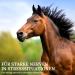Stiefel Nervous Herb Juice | Pack of 2 | 2 x 1 l | Liquid feed supplement for horses | Supports nervous and stressed horses | Without colouring - Buy Online on GoSupps.com