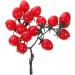 HOMSFOU 5pcs String Simulated Cherry Tomatoes Realistic Cherry Toys Simulation Cherry Tomatoes Artificial Tomatoes Faux Cypress Garland Fake Peaches Fake Cherries Child Pvc Fake Food Fruit Redx5pcs 18X16CMx5pcs - Buy Online on GoSupps.com