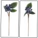 ABOOFAN 15 Pcs Artificial Berry Cuttings Christmas Faux Apples Fake Berries Green Garland Artificial Pine Picks Decor Xmas Tree Picks Blue Flowers Cherry Bean Sticks Iron Dark Bluex3pcs 18X7.5X3CMx3pcs - Buy Online on GoSupps.com