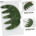 Hoement Jade Massage Comb - Creative Body Massager Tool for Ultimate Relaxation & Wellness - Buy Online on GoSupps.com