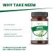 SONA Neem Capsule - 1000mg Veg Capsules 100 Count (Pack of 1) - Buy Online on GoSupps.com