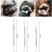 Elionless Pet Tooth Scaler Cleaning Set | 3-Piece Stainless Steel Tartar & Plaque Remover for Dogs & Cats International Shipping Available - Buy Online on GoSupps.com