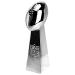 Spire Designs Fantasy Football Trophy - Chrome Replica Championship Trophy - First Place Winner Award for League - 2 Sizes 9"