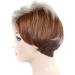 Shop CAIHUASHOPING Short Gradient Pony Wig - Stylish White & Brown 4-Inch Hair Wig for Women - Buy Online on GoSupps.com