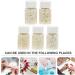 Exceart Nail Art Discs - Set of 5 for DIY 3D Polymer & Resin Crafts Charms & Fruit Slices - Perfect for Nail Art & Phone Decorations - Buy Online on GoSupps.com