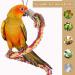 ASOCEA Bird Perch Rope Stand Swing Climbing Toy for Parrot, Budgie, Cockatiel - Bungee Bird Toy - Buy Online on GoSupps.com
