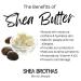 | Unrefined | Raw | Coconut Lemongrass | Organic Shea Butter Body Butter | Whipped | Dry Skin | Eczema | All Skin Types | Gifts | Men | Women | Kids | Fair Trade | 8 oz Coconut Lemongrass One Size - Buy Online on GoSupps.com