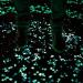 Pebbles 50/100/300pcs Glow in the Dark Garden Pebbles for Walkways Garden Decoration Glow Pebbles Plants Aquarium Luminous Stones Decorative Pebbles (Color : Blue Size : 50 PCS) 50 PCS Blue - Buy Online on GoSupps.com