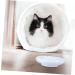 POPETPOP Cat Bowl Rabbit Water Bowl Puppy Feeder Cat Food Bowls Bunny Feeder Water Feeder Food Plate Non-Slip 15.5x4cm White - Buy Online on GoSupps.com