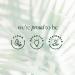Tree of Life Skin Care Set | Brightening Firming Hydrating | Vitamin C Niacinamide & Pro Collagen Peptide Serums | Dermatologist Tested - Buy Online on GoSupps.com