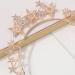 TQUXNGA Glinting Crystal Headband Hair Hoop for Pageant Prom Bridal Wedding Bridal Wedding Hair Accessories Gold - Buy Online on GoSupps.com