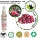 ICAN London Skin Active Soothing Botanicals 100% Pure Rose Water Mist Spray 150ml Pink - Refresh and Hydrate Your Skin - Buy Online on GoSupps.com