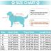 EMUST Winter Dog Jacket for Medium Dogs - Thick Boy Coat for Cold Weather in Turquoise - 7 Sizes & 13 Colors Available - Buy Online on GoSupps.com