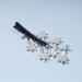 Yheakne Crystal Star Hair Clip Barrette Silver Rhinestone Hair Bling Cluster Star Hair Pin Headpieces Hair Pin Head Clip Branch Hair Pins Headwear Bride Hair Accessories for Women and Girls (Silver) - Buy Online on GoSupps.com