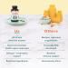Further Food Ultimate Immune Support â€“ 120 Capsules for Optimal Health - Buy Online on GoSupps.com