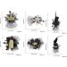 Limtula Graduation Season Hair Clip for Student Mesh Bachelor Hat Hairclip Graduation Theme Hairpin Graduation Party Hair Decors Graduation hat with - Buy Online on GoSupps.com