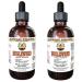 Bugleweed Alcohol-Free Liquid Extract Organic Bugleweed (Lycopus Virginicus) Dried Leaf and Flower Glycerite Hawaii Pharm Natural Herbal Supplement 2x4 oz 8 Fl Oz (Pack of 1)