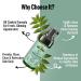 Anti-Acne Neem Foaming Face Wash - Clear Acne & Dull Skin | Olive Leaf & Aloe Vera - 120ml - Buy Online on GoSupps.com