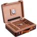 Cigar Boxs Humidors Humidor Cigar Box Cigar Box Cigar Humidor Moisturizicabinet Cigar Box - Buy Online on GoSupps.com