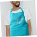 FOMIYES Kitchen Aprons Gardening Apron Bar Apron Adjustable Barber Apron Polyester Apron Adjustable Straps Work Apron Aprons for Hair Stylist Hairstylist Apron Fashion Shoulder Strap Miss 110x66cm - Buy Online on GoSupps.com