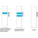 Lactose Intolerance Test Strip at Home for Adult and Kid Lactase Activity Test Food Sensitivity Test (2) - Buy Online on GoSupps.com