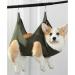 Qrity Cat Care Pocket Hammock Set - Dog & Cat Nail Cutting Dishes with S Hooks - Green - Buy Online on GoSupps.com
