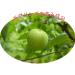 Grannicks Bitter Apple Spray 8 oz - Buy Online on GoSupps.com