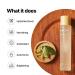 MAYCOOP Moisture Essence Toner + Raw Moisturizer Face Cream Bundle - Buy Online on GoSupps.com