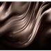 L'Oreal Paradise Brow Pomade in Brunette - Long-lasting and Defined Brows - Buy Online on GoSupps.com