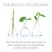 EmerginC Protocell Eye Cream - Plant Stem Cell Treatment with Hyaluronic Acid (0.5 oz) - Buy Online on GoSupps.com