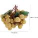 Ciieeo Doll House Diy Toy Fake Longyan Model Kitchen Fruit Longan Model Fruit Photography Props Fake Longan Decor Simulation Fruit Simulation Fake Fruit Faux Fruit Plastic Peach Miniature Khaki 18x18cm - Buy Online on GoSupps.com