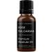 Buy Mystic Moments Absolute Oil 10ml - Premium Quality Essential Oil for Aromatherapy & Relaxation | Fast International Shipping - Buy Online on GoSupps.com