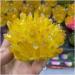 Natural Crystal Cluster Electroplated Yello Crystal Cluster Reiki Stone Crystal Tip House Decorative Specimens Cr PEIQIYIN Natural Luster 1pc - Buy Online on GoSupps.com