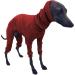 Greyhound Sweater for Dogs Dog Jumpers Pet Sweater Cotton Greyhound Pajamas Four-Legged Greyhound Clothes Hooded Whippet Pajamas Stretchable Warm Dog Coat L red L - Buy Online on GoSupps.com