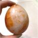 Crystal Natural high qualiy Crystals Stones red Agate Palm Carnelian Stones Shaped 1pc 1pcs Around60-90mm - Buy Online on GoSupps.com